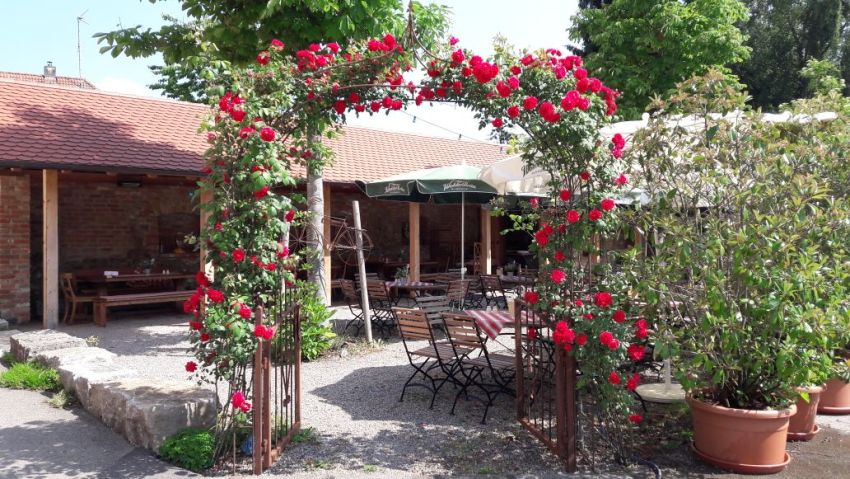 Biergarten, Gaststätte, Gasthof, Restaurant, Biergarten, Zimmervermietung, Ferienwohnung, Landgasthof "Zum Goldenen Kreuz" Pfrungen